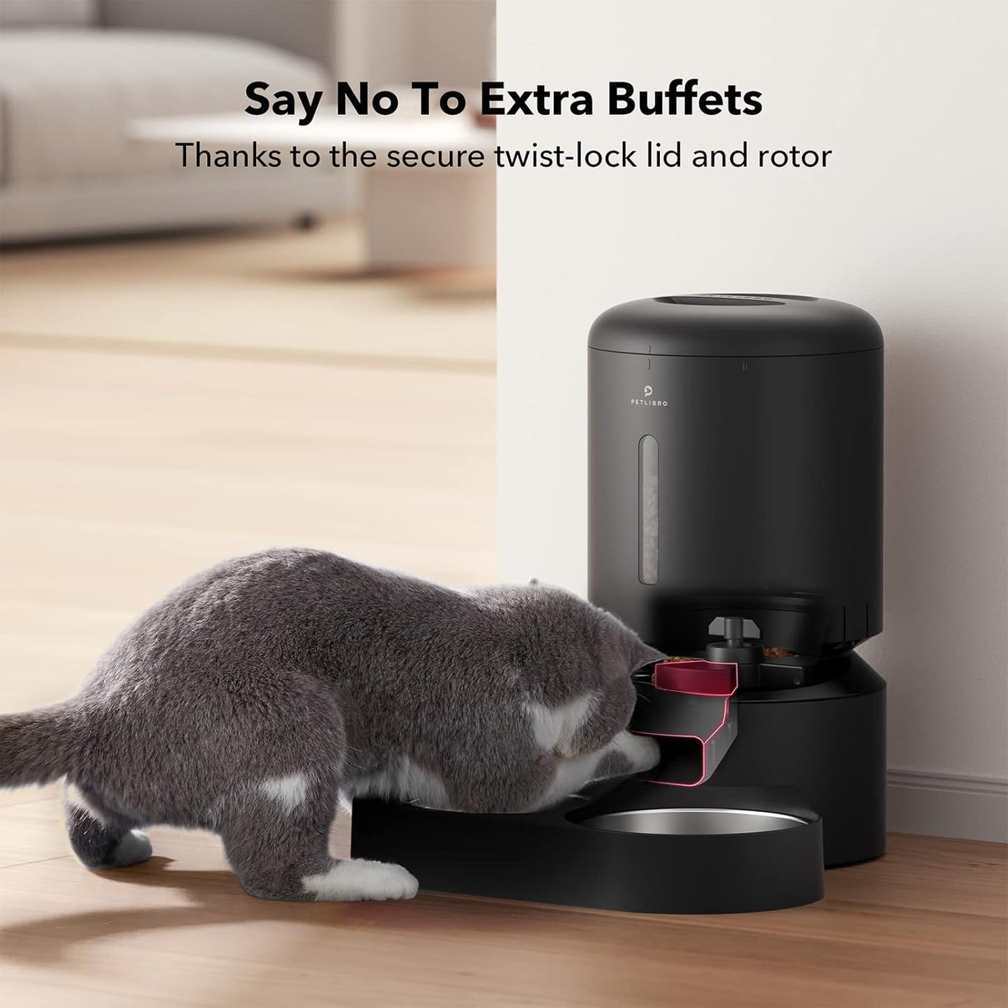 PETLIBRO Automatic Cat Feeder – Timed Dispenser with 6 Meals/Day